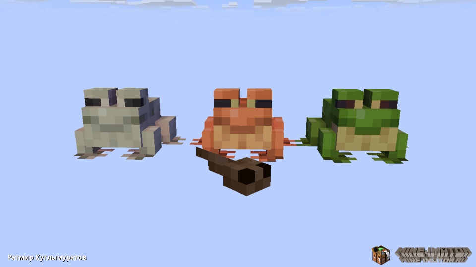 новые жабы(лягушки)
